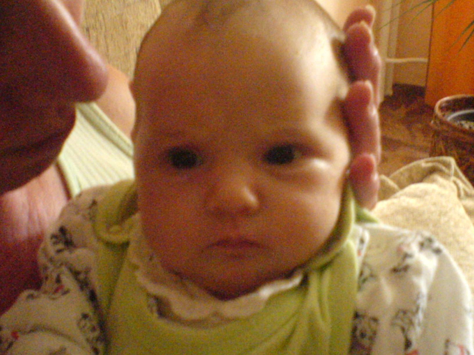 DSC00023 (1).JPG