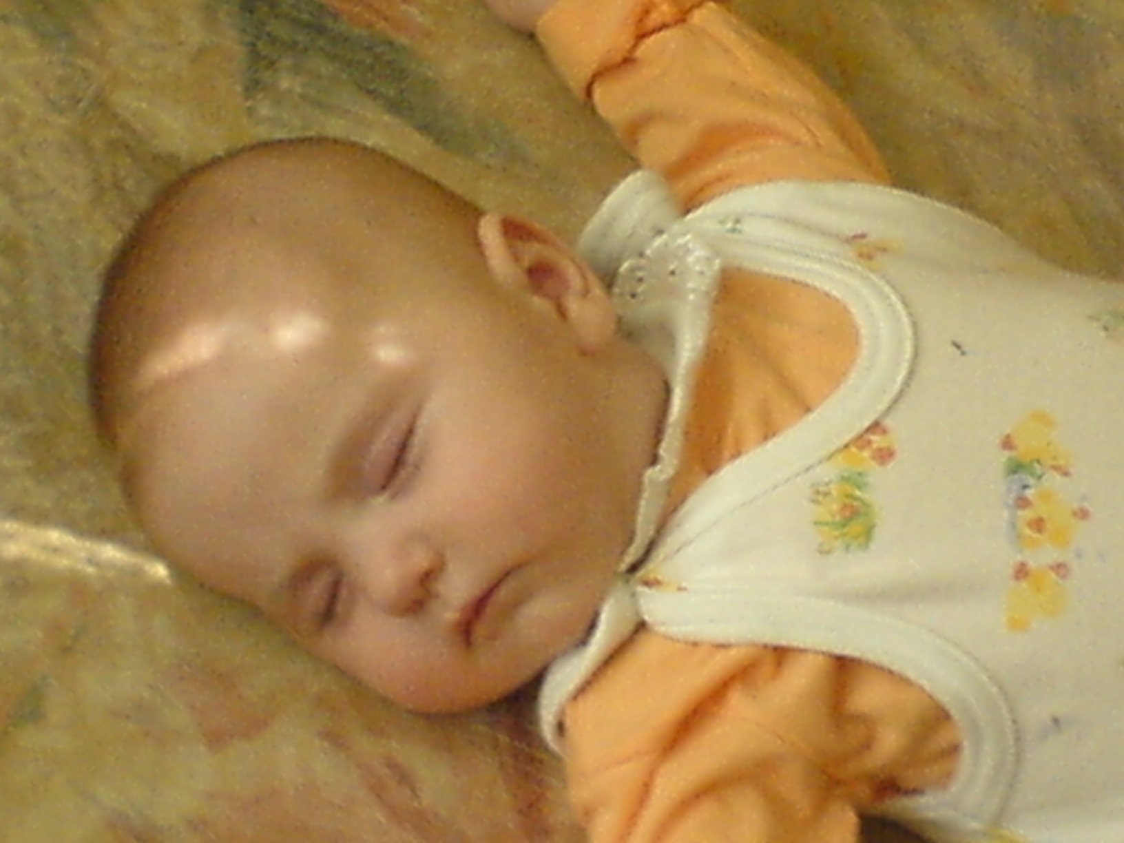 DSC00053.JPG